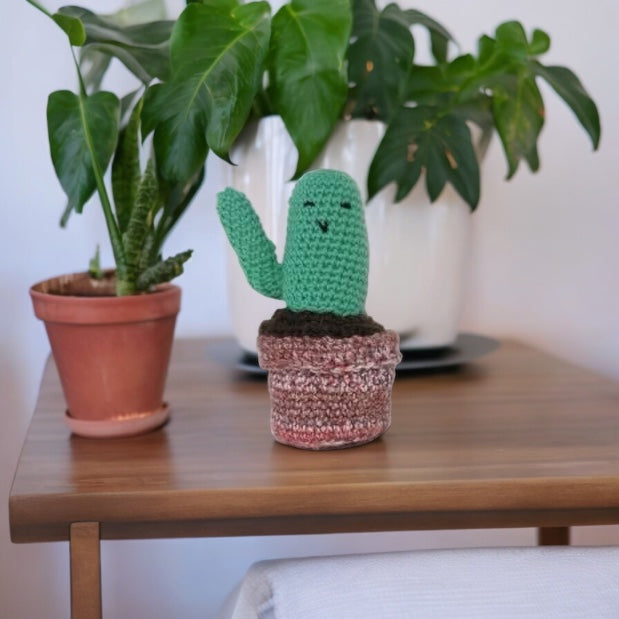 Cactus