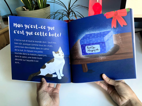 Livre pour enfants - La boîte magique