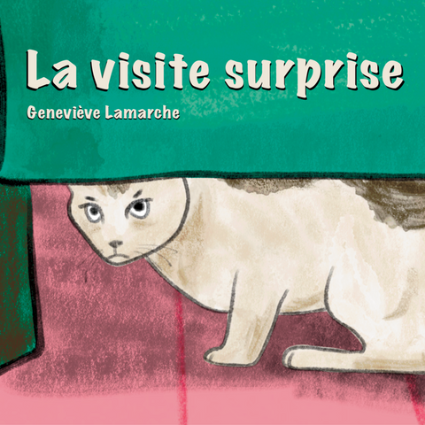 Livre pour enfants - La visite surprise