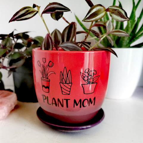Cache-pot - Plant mom