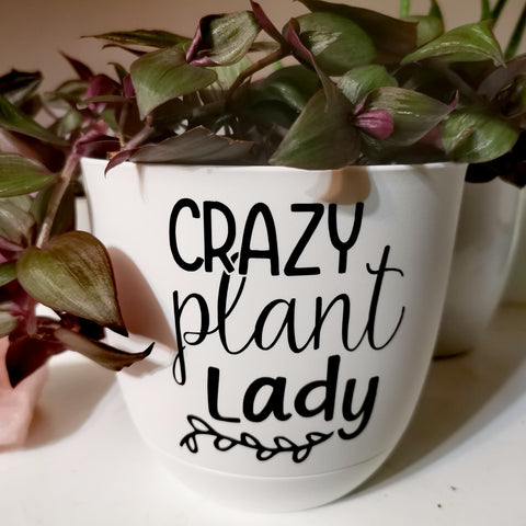 Cache-pot - Crazy plant lady