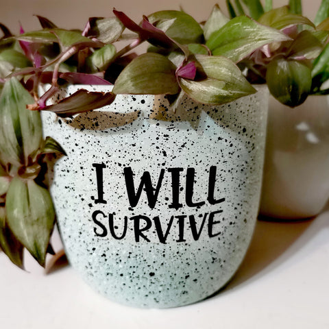Cache-pot - I will survive