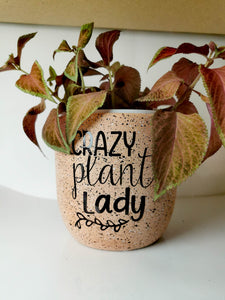 Cache-pot - Crazy plant Lady