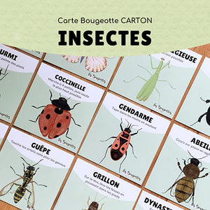 Carte Bougeotte INSECTES