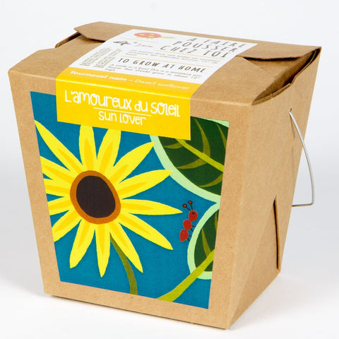 Boîte à jardin junior - Fleur soleil